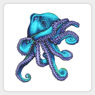 Octopus Sticker